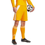 Šortky adidas Tiro 24 M JN4497 L