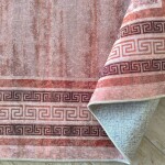 DumDekorace Moderní koberec s řeckým okrajem - růžový a kaštanový Šířka: 80 cm | Délka: 150 cm