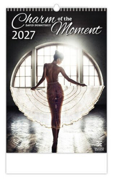 Kalendář nástěnný 2027 - Charm of the Moment