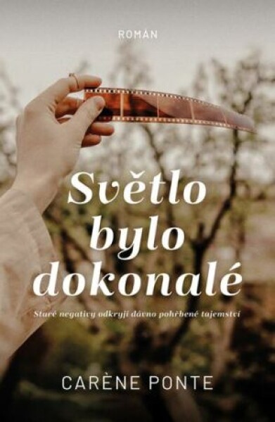 Světlo bylo dokonalé - Caréne Ponte - e-kniha