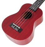 Tanglewood TWT 1 TR