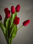 Bloomingville Umělá kytice Tulip Bouquet Red 35 cm, růžová barva, multi barva