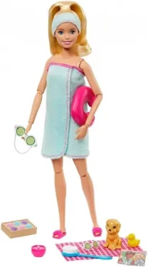 Mattel GJG55 Barbie Wellness - herní set s panenkou