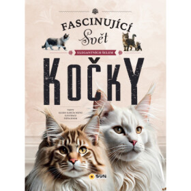Fascinující svět elegantních šelem - Kočka