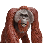Safari Ltd. Safari Ltd. Orangutan bornejský