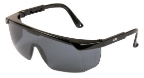 Brýle COFRA STEELY E010 - B110 CLASSIC, Šedá (E010_B110)