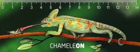 Pravítko 3D - Chameleon