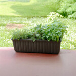 Samozavlažovací truhlík SIESTA