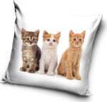 Povlak na polštářek Kočičí Mňau Tým