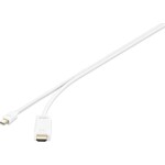 Digitus kabelový adaptér DisplayPort DP - HDMI typu A M - M 1.0 m / s blokováním DP 1.2 HDMI 2.0 / 4K / 60Hz / CE / bl (AK-340303-010-S)