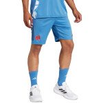 Pánské šortky adidas France Gym blue JC7182 L