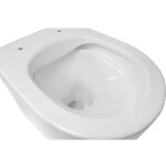 MEREO - WC závěsné kapotované, RIMLESS, 495x360x370, keramické, vč. sedátka CSS113S VSD84S1