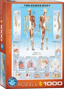 EUROGRAPHICS Puzzle Lidské tělo