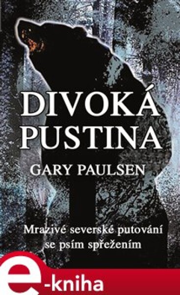 Divoká pustina - Gary Paulsen