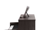 Roland HP704-DR