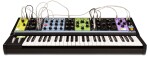 Moog Matriarch