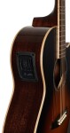 Tanglewood TW45RVSE