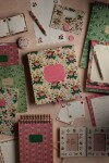 Rifle Paper Co. Sada samolepicích bločků Dahlia, multi barva, textil