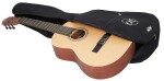 Tanglewood EM E1