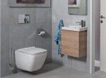 JIKA - Pure WC štětka nástěnná s držákem, chrom/matné sklo H3843B10040001