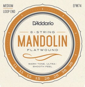 D'Addario EFW74