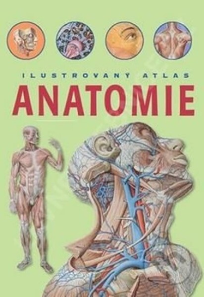 Anatomie Ilustrovaný atlas