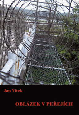 Oblázek v peřejích - Jan Vítek