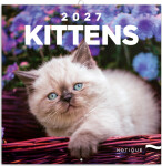 Kalendář 2027 poznámkový: Koťata 2027, 30 x 30 cm