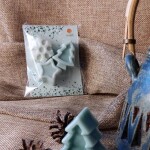 Sójový aroma vosk POHODA VÁNOČNÍ (Přírodní sójový vosk do aromalampy pohoda vánoční)