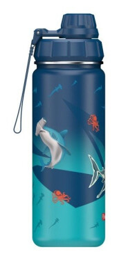 Izolovaná láhev na pití z nerezové oceli 0,5 l Underwater