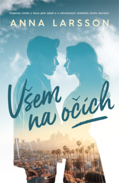 Všem na očích - Anna Larsson - e-kniha