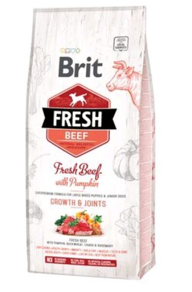 Brit Fresh Beef Pumpkin Puppy Large