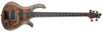 Schecter Riot-5 Bass Inferno Burst