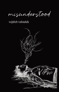 Misunderstood - Valousek Vojtěch