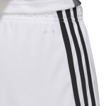 Šortky adidas Tastigo 19 DP3247