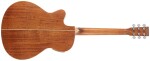 Tanglewood TW4 CE NA