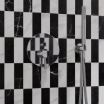 OMNIRES - Ruční sprcha, chrom MICROPHONEX-RCR