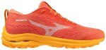 Běžecké boty Mizuno WAVE RIDER GTX J1GD227972 Velikost obuvi EU: