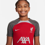 Nike Liverpool FC Strike SS Top Jr Shirt FD7088-688