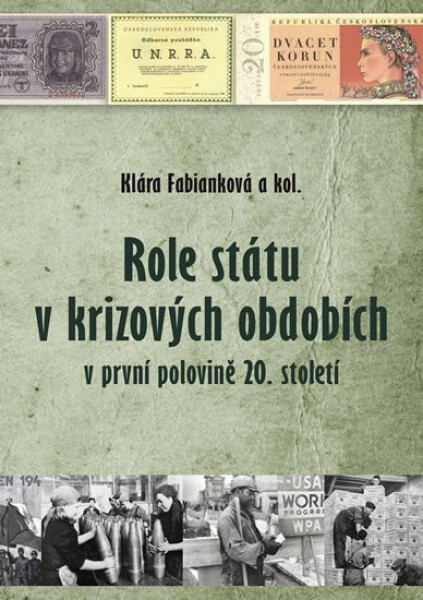 Role státu krizových obdobích