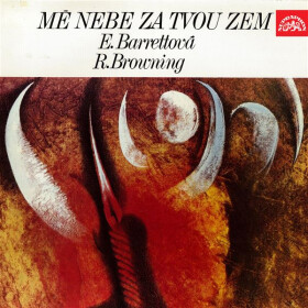 Mé nebe za tvou zem - Elisabeth B. Barrettová