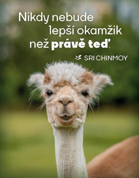 Magnet na lednici "Nikdy nebude lepší čas" - Sri Chinmoy