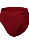 Pánské slipy AUTHENTIC 221 claret S
