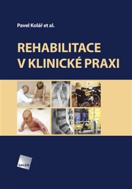 Rehabilitace klinické praxi
