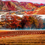 Nástěnný poznámkový kalendář 2026 NOTIQUE - Paleta, 30 x 30 cm - BEZ ČEŠTINY