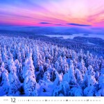 Nástěnný kalendář 2026 Helma - Les