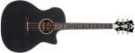 D'Angelico Premier Gramercy LS Black Top (rozbalené)