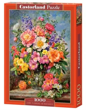 Castorland 103904 Puzzle Červnové květiny