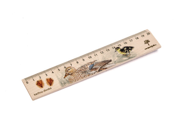 Dřevěné pravítko 20 cm - Kachna divoká