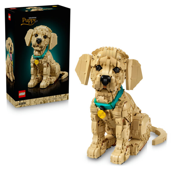 LEGO LEGO® Icons 11384 Štěně zlatého retrívra